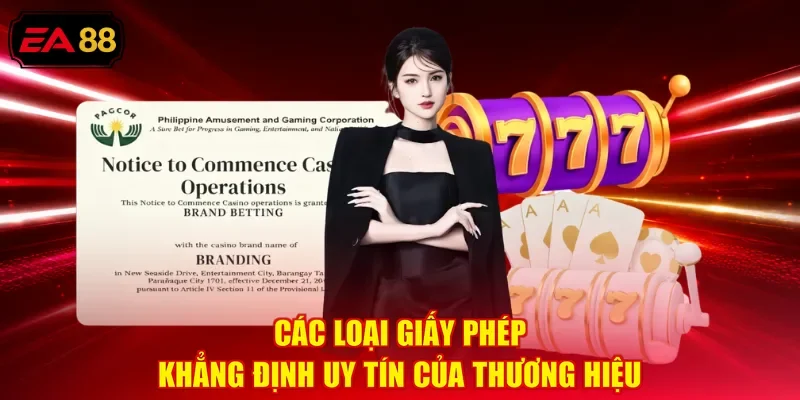 Các loại giấy phép khẳng định uy tín của thương hiệu